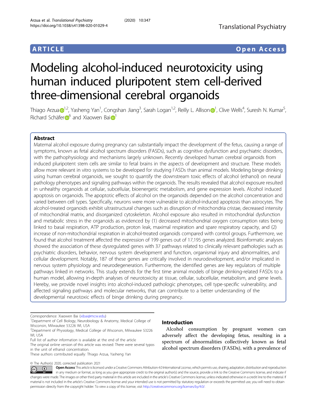 Modeling Alcohol-Induced Neurotoxicity Using Human Induced