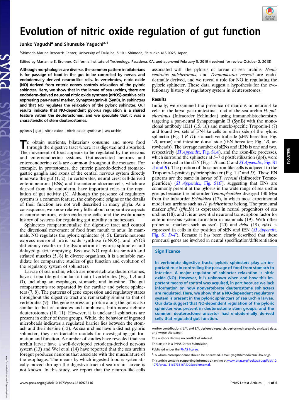 Evolution of Nitric Oxide Regulation of Gut Function