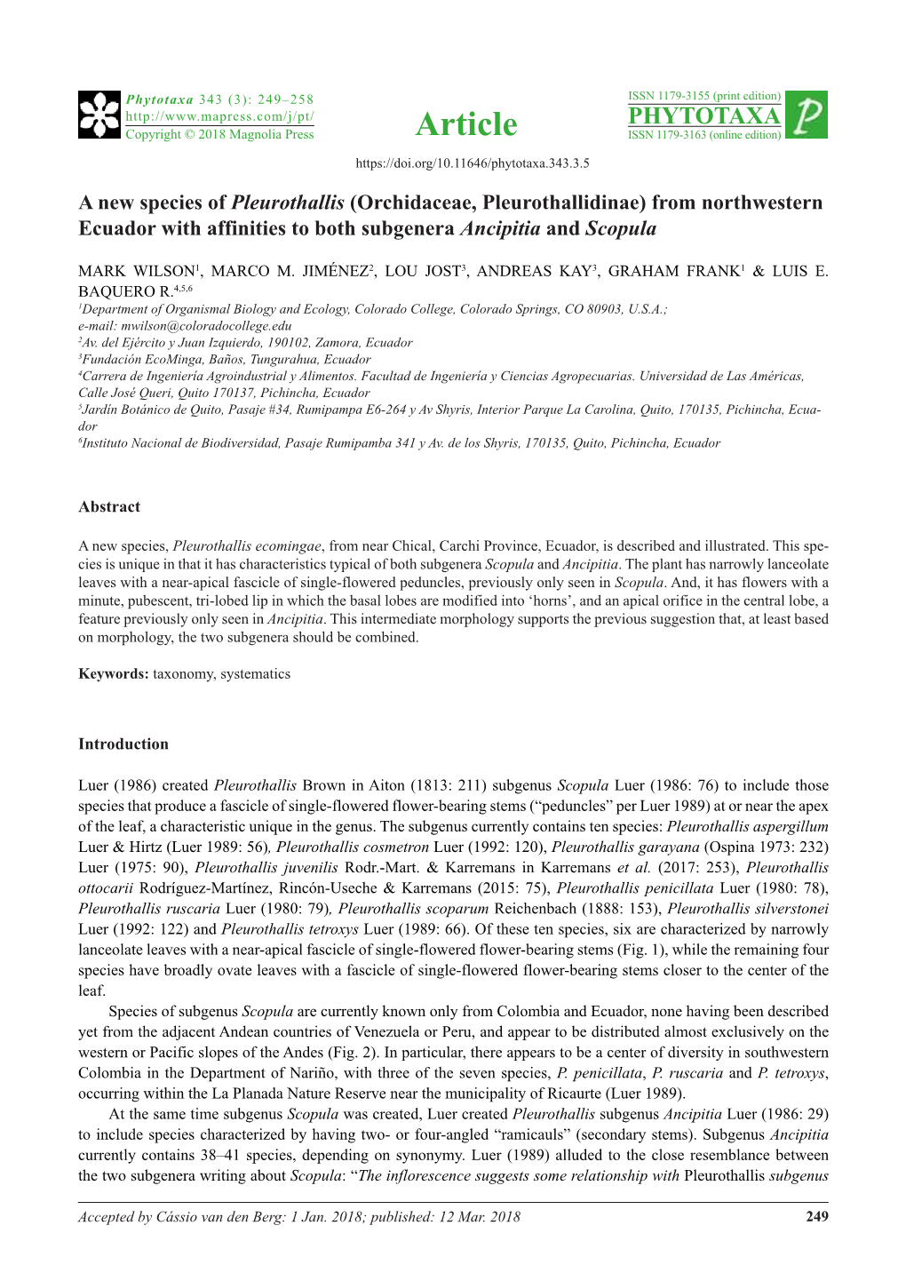 A New Species of Pleurothallis (Orchidaceae, Pleurothallidinae) from Northwestern Ecuador with Affinities to Both Subgenera Ancipitia and Scopula