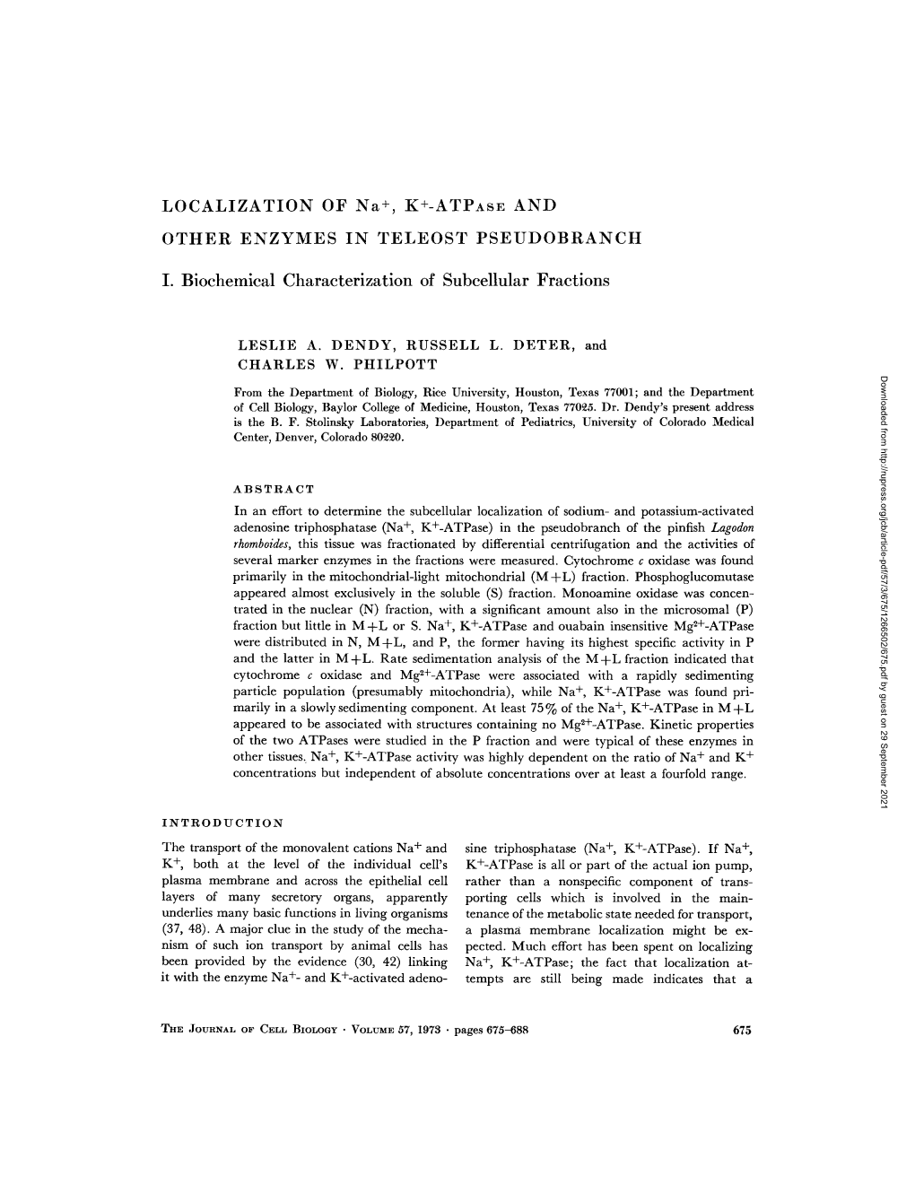 LOCALIZATION of Na+, K+-ATPASE and OTHER ENZYMES in TELEOST PSEUDOBRANCH