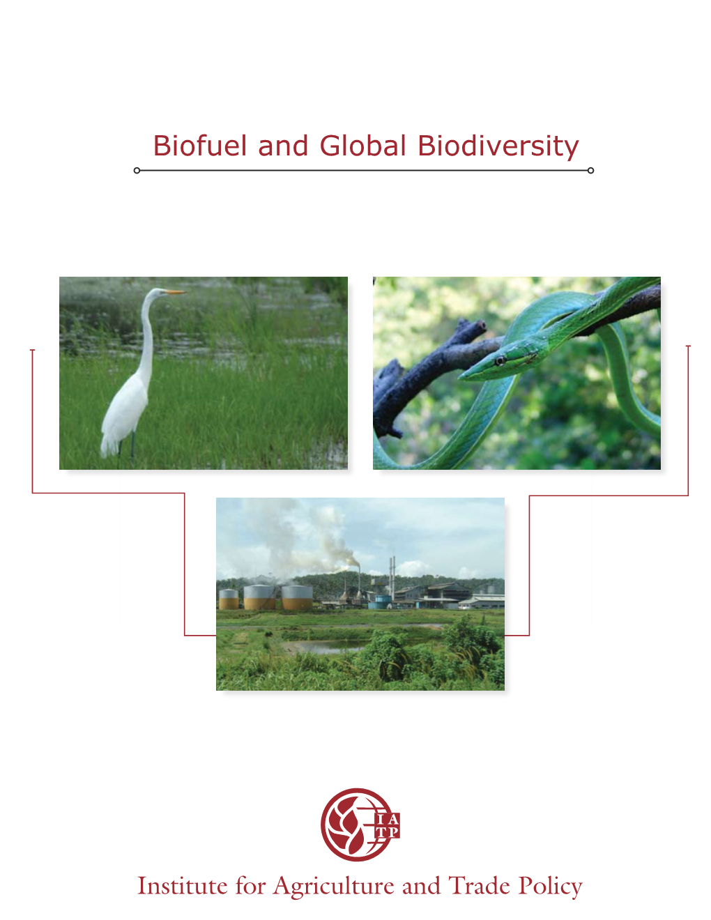 Biofuel and Global Biodiversity | IATP