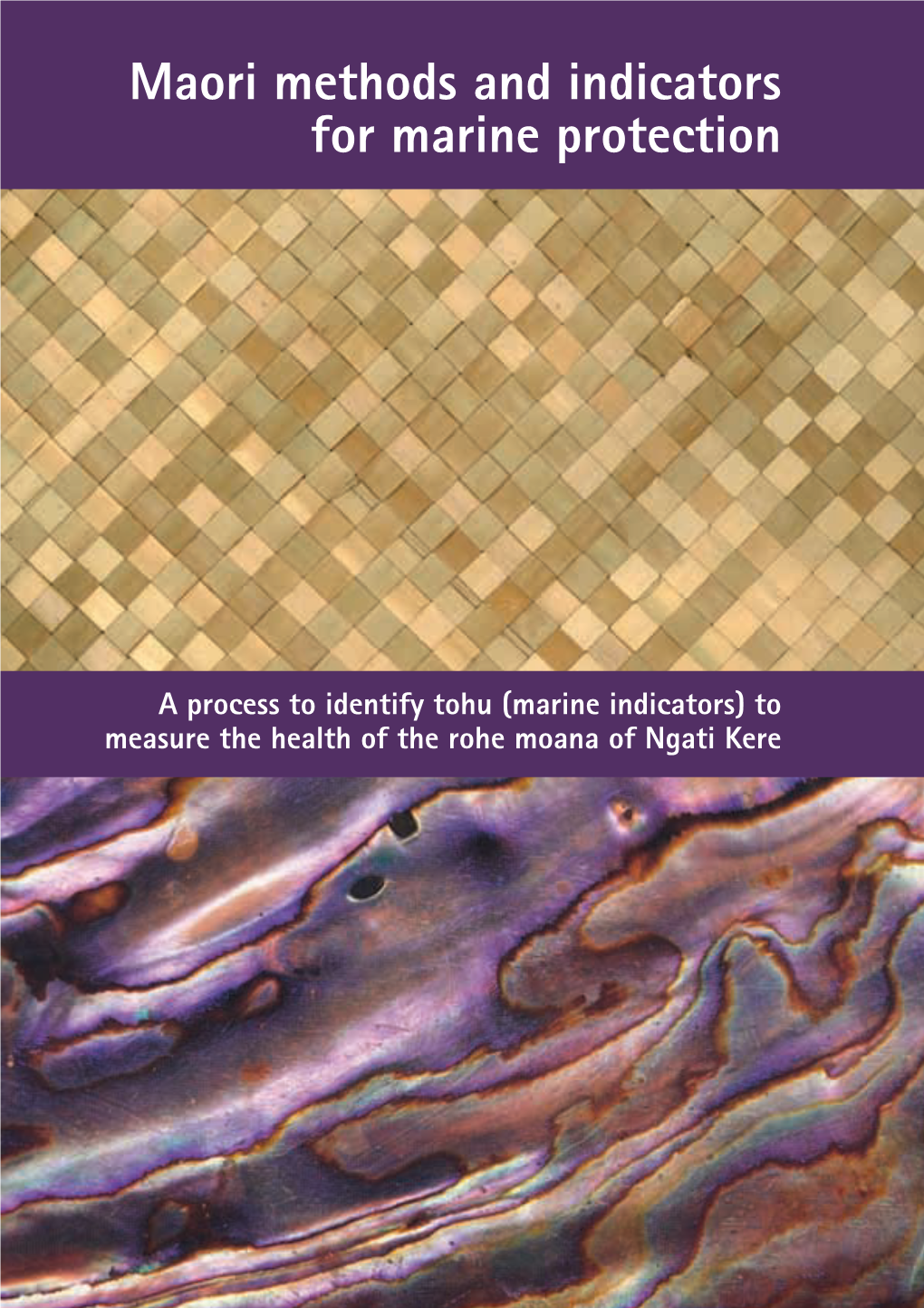 A Process to Identify Tohu (Marine Indicators) to Measure the Health of the Rohe Moana of Ngati Kere
