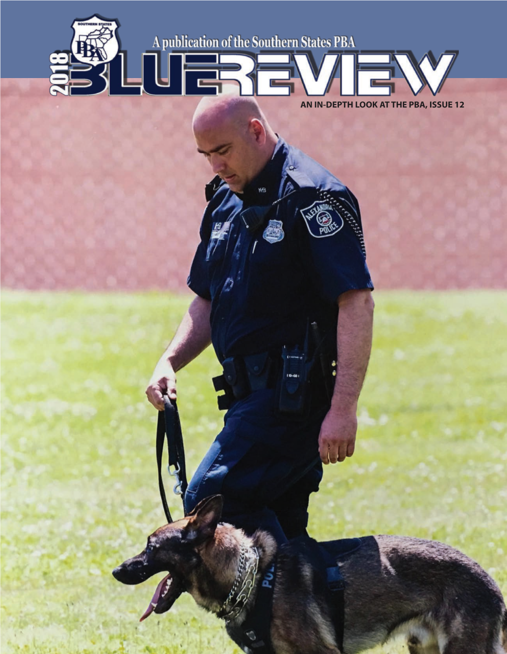 2018 Blue Review, Issue 12