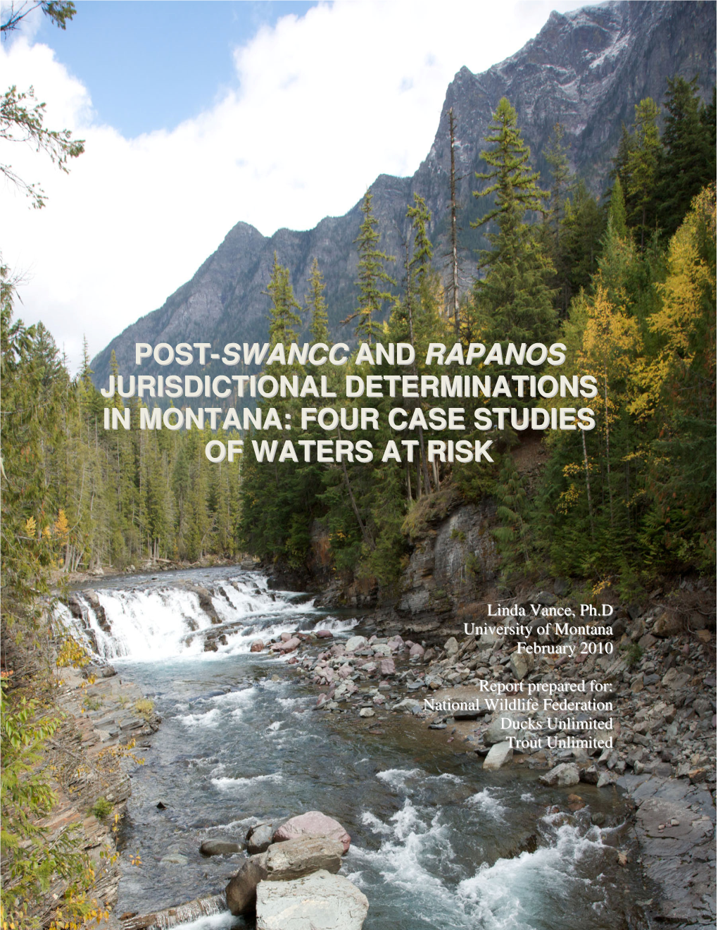 Montana: Four Case Studies of Waters at Risk