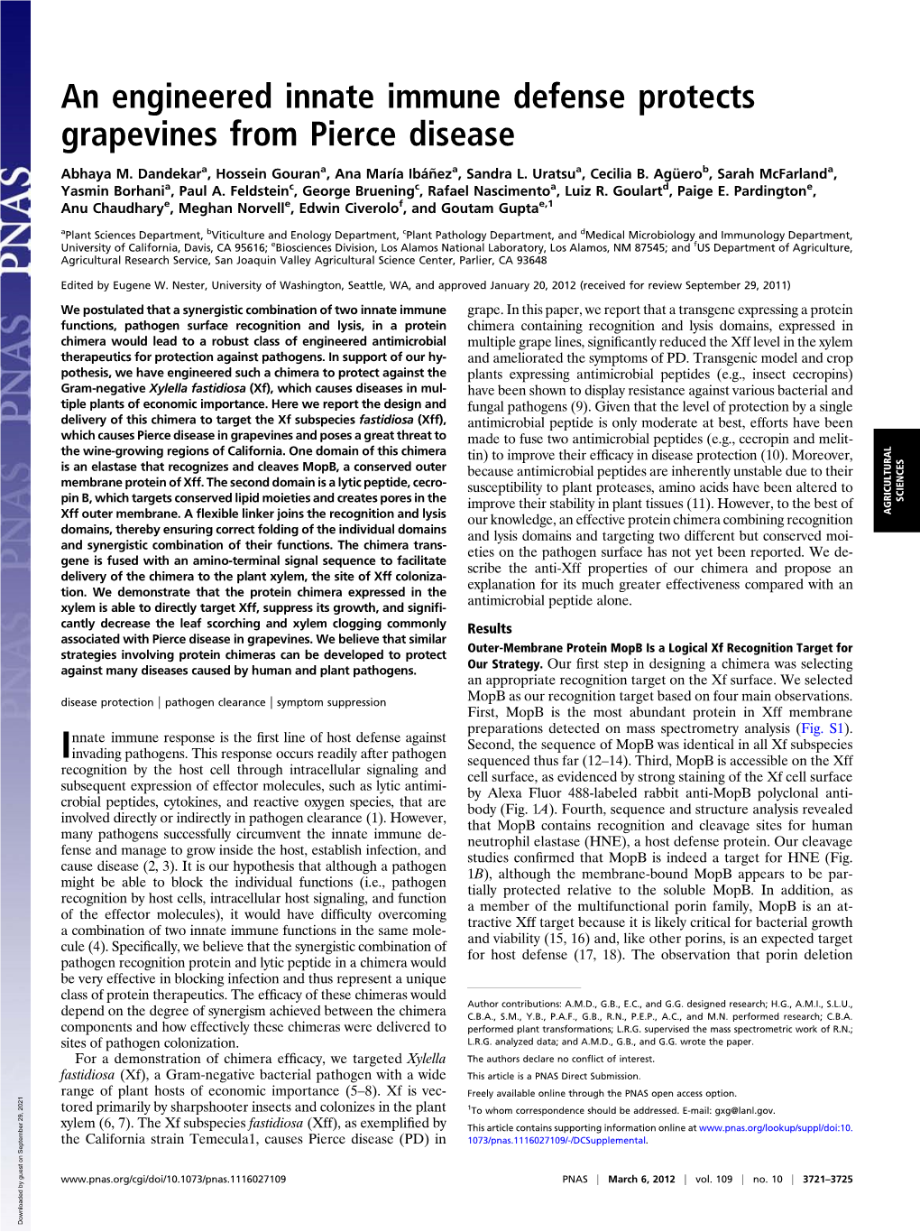 An Engineered Innate Immune Defense Protects Grapevines from Pierce Disease