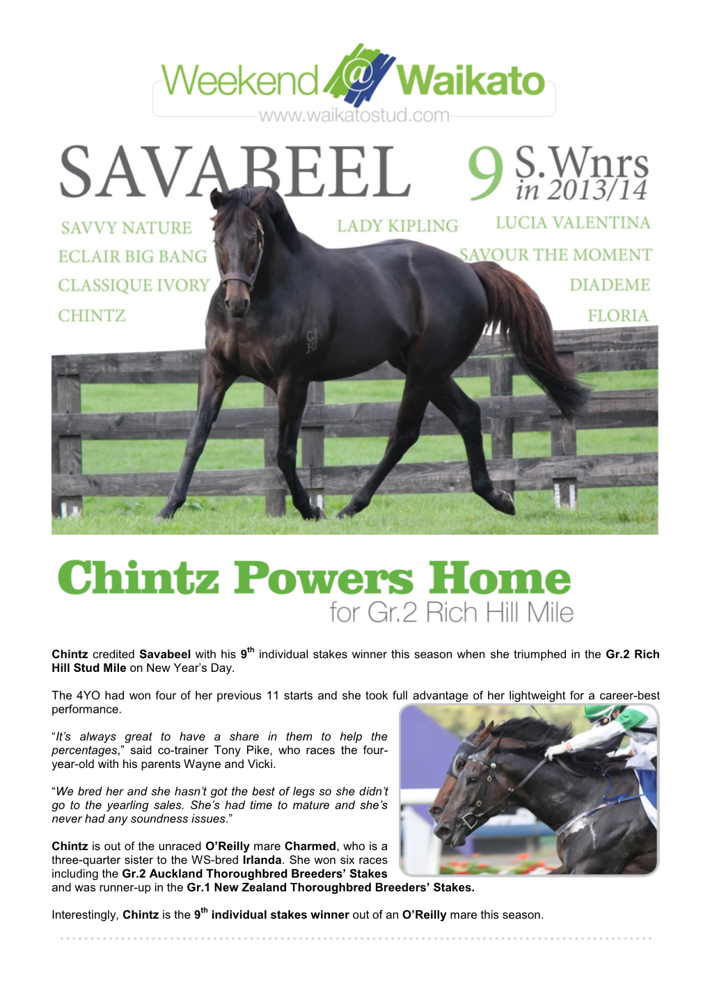 Chintz Credited Savabeel with His 9Th Individual Stakes Winner This Season When She Triumphed in the Gr.2 Rich Hill Stud Mile on New Year’S Day