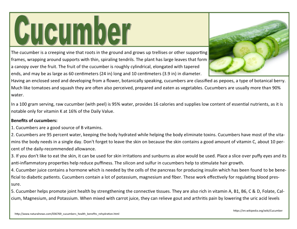 The Cucumber Is a Creeping Vine That Roots in the Ground and Grows up Trellises Or Other Supporting Frames, Wrapping Around Supports with Thin, Spiraling Tendrils