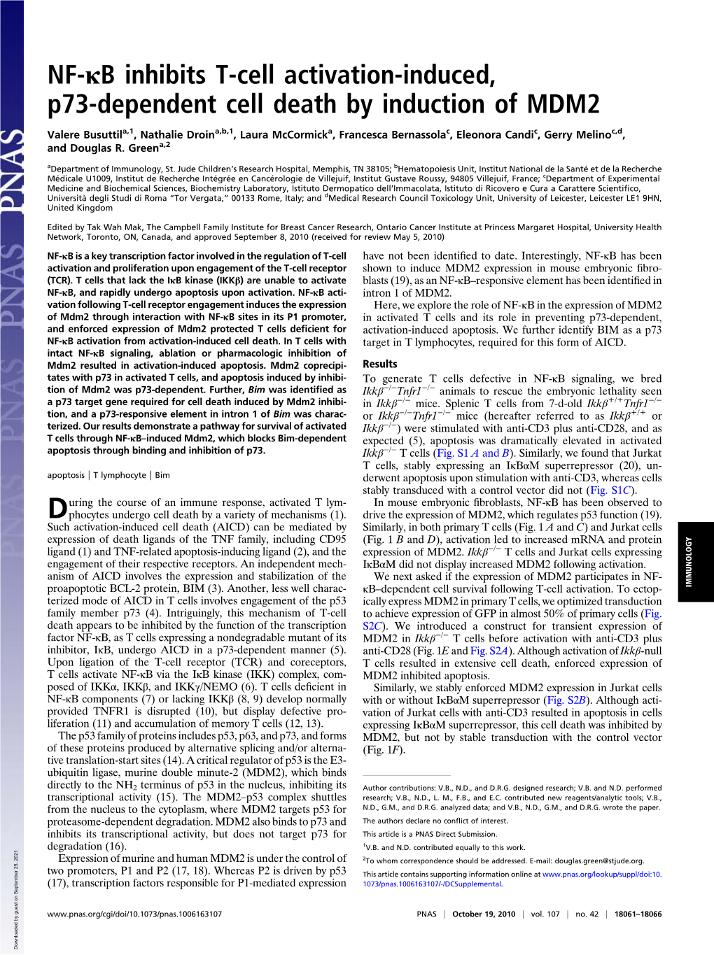 NF-Κb Inhibits T-Cell Activation-Induced, P73-Dependent Cell Death by Induction of MDM2