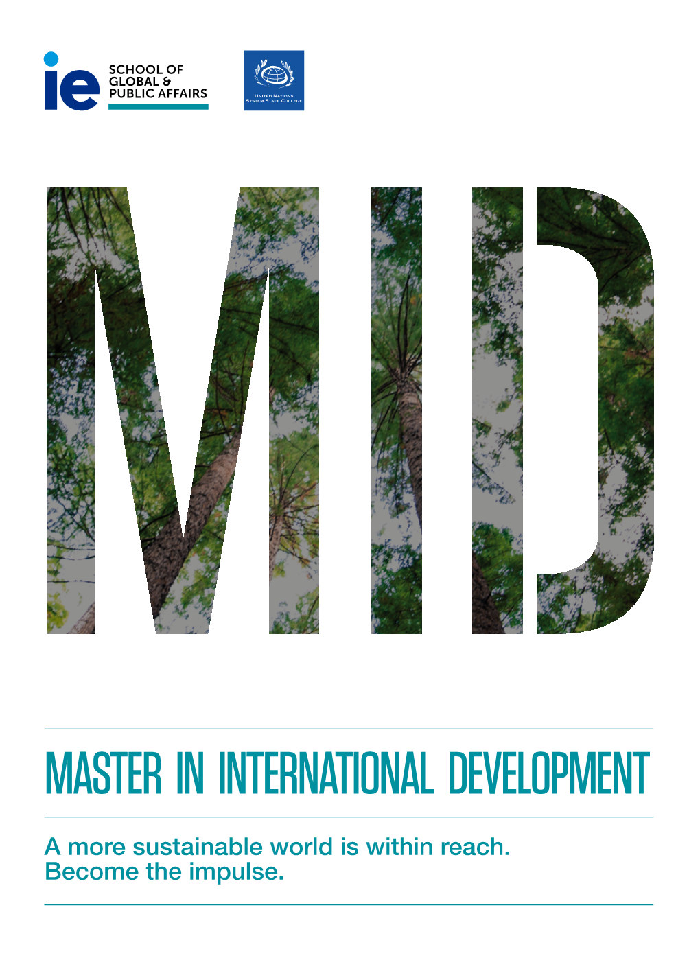 Master in International Development