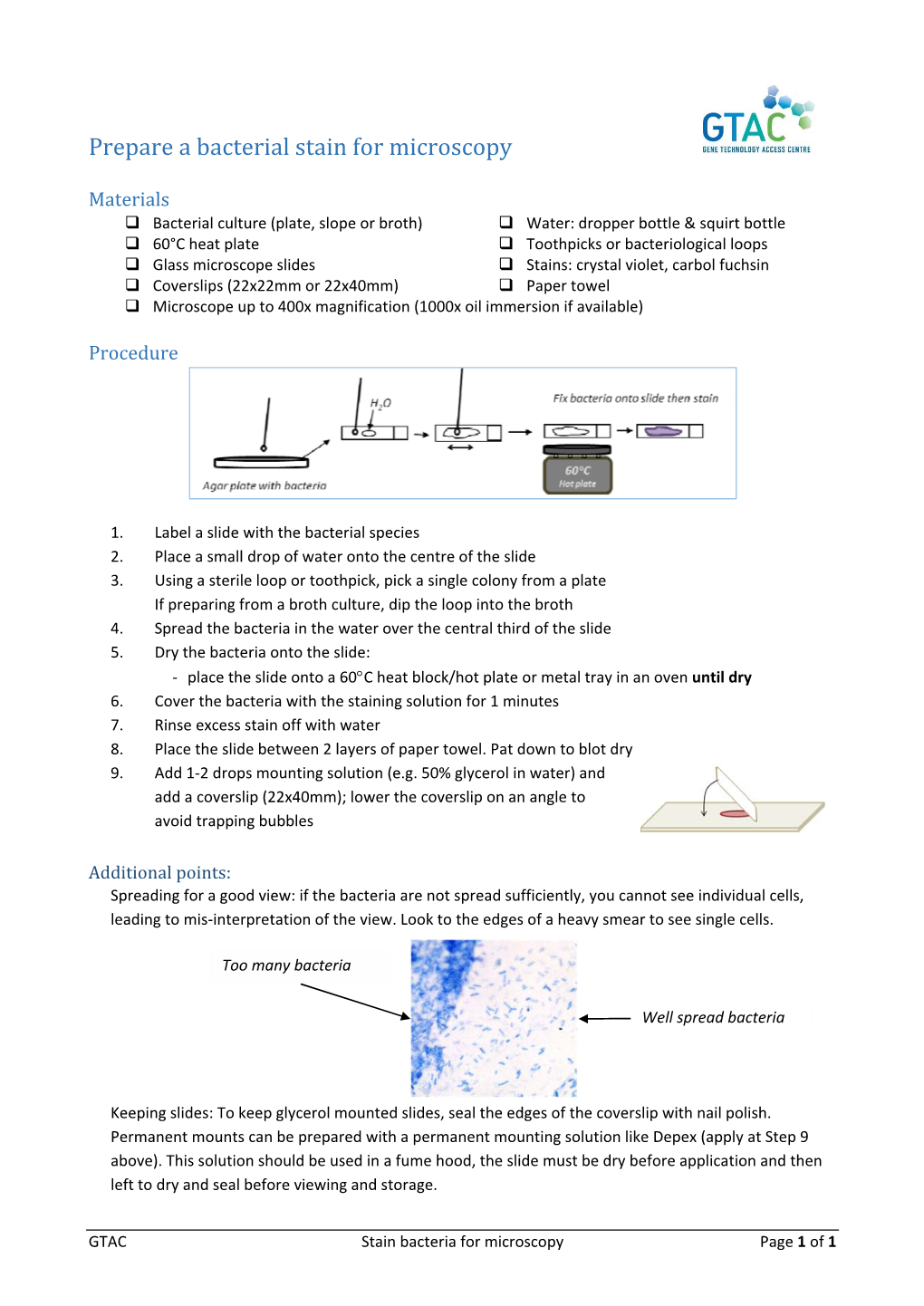 Prepare a Bacterial Stain for Microscopy