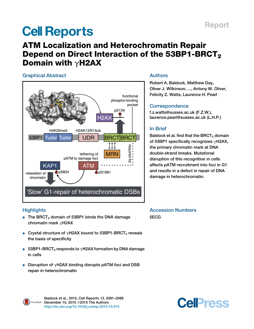 ATM Localization and Heterochromatin Repair Depend on Direct Interaction of the 53BP1-BRCT2 Domain with ΓH2AX