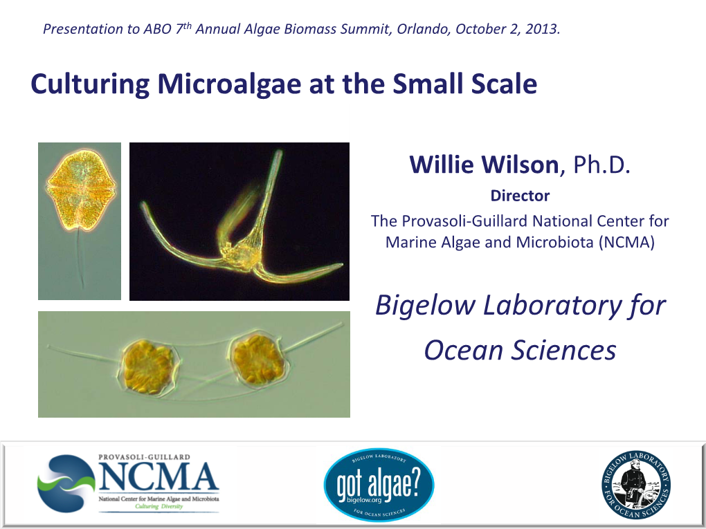 The NCMA Holds Representatives from 39 Classes of Algae (All the Major Photosynthetic Groups)