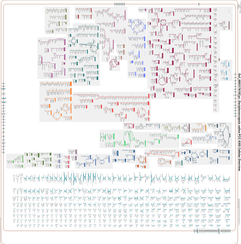 Generated by SRI International Pathway Tools Version 25.0, Authors S