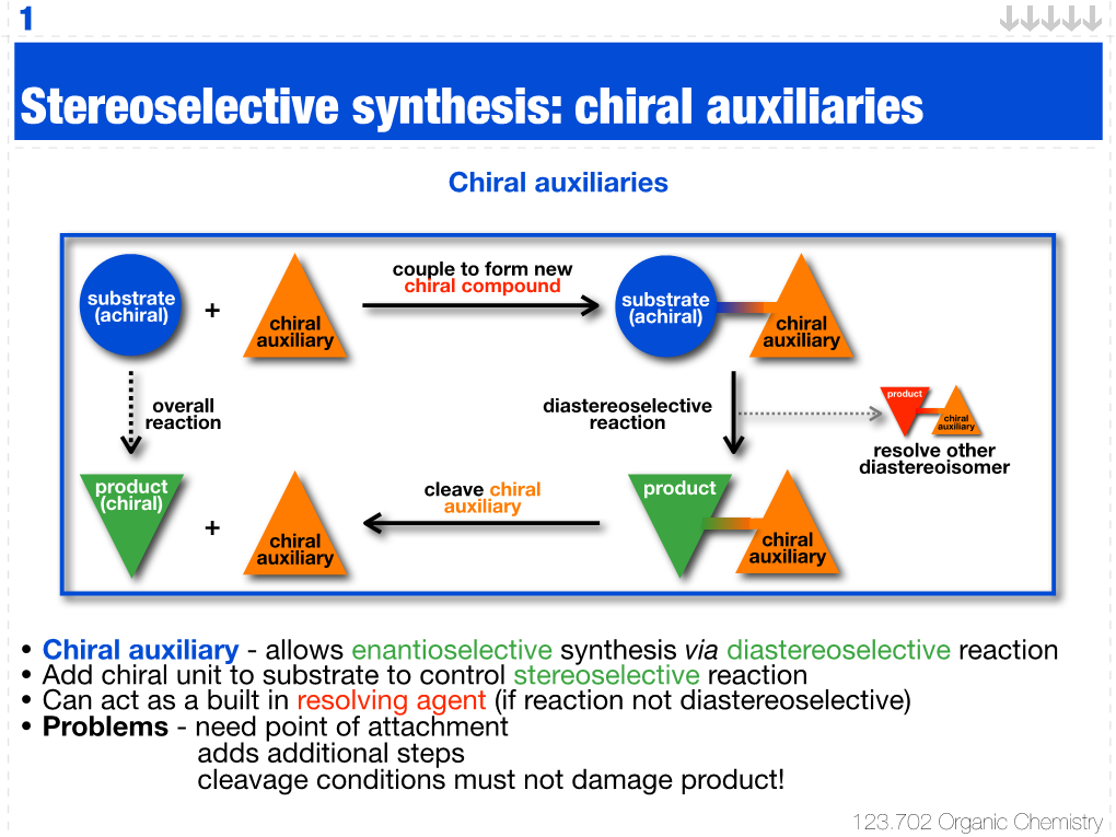 Stereoselective Synthesis: Chiral Auxiliaries