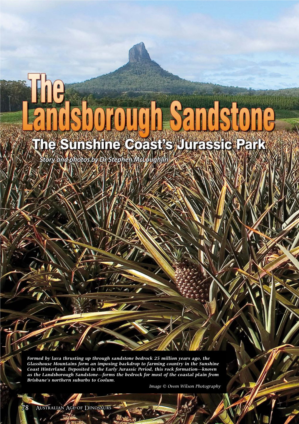 The Landsborough Sandstone—Forms the Bedrock for Most of the Coastal Plain from Brisbane’S Northern Suburbs to Coolum