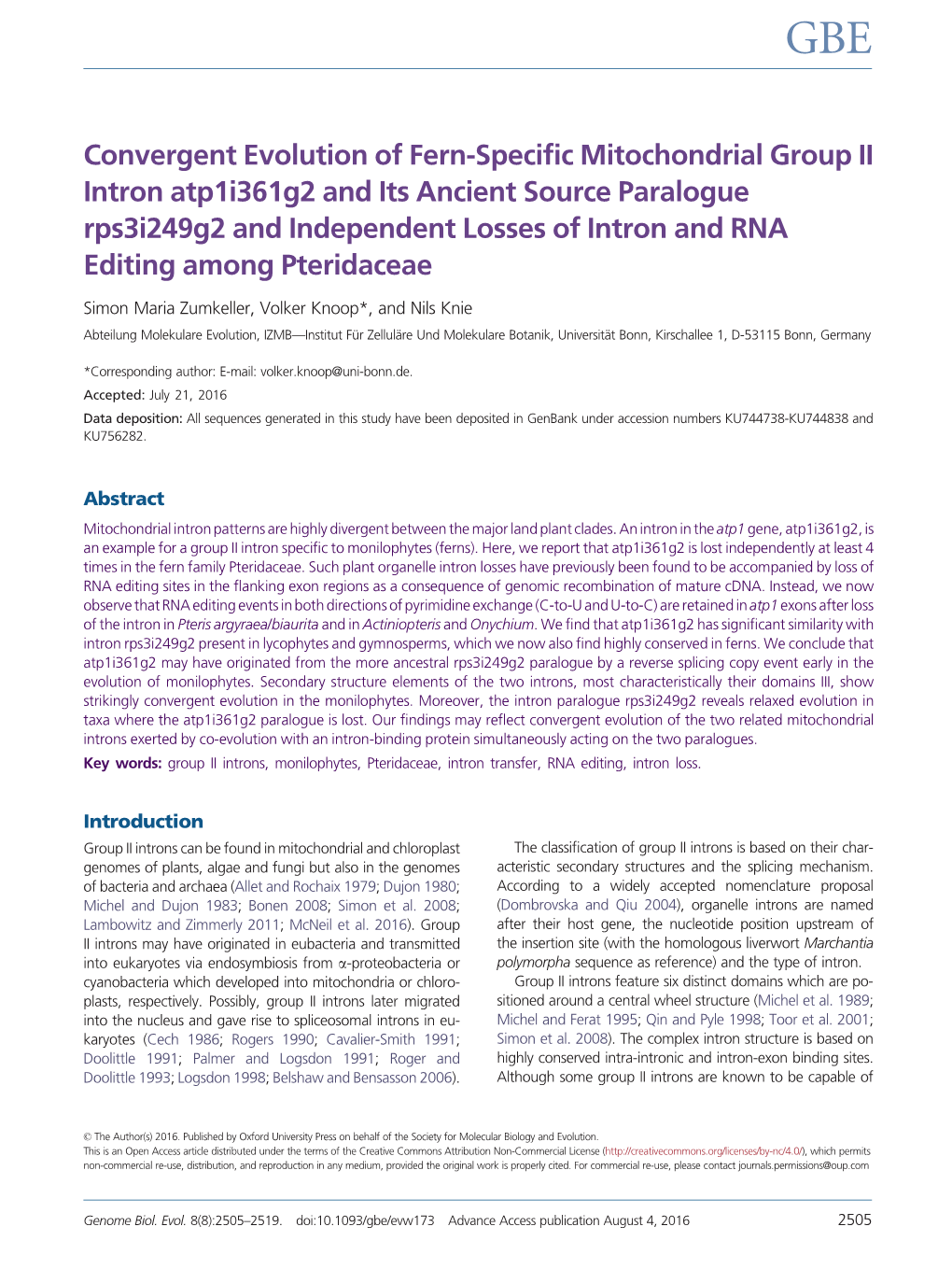 Convergent Evolution of Fern-Specific Mitochondrial