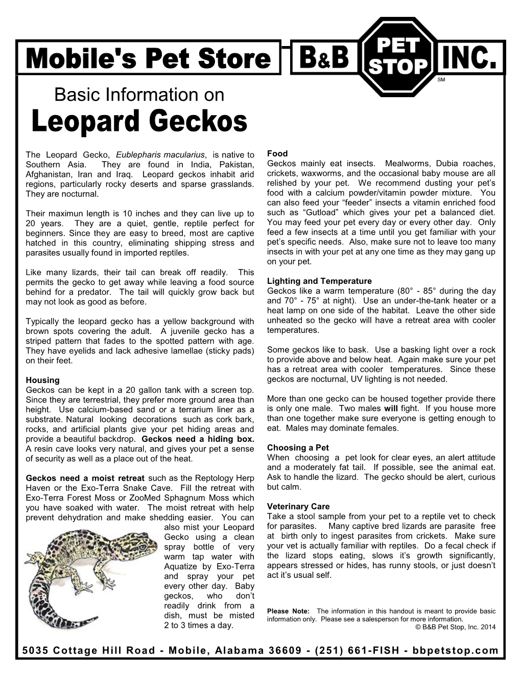 Leopard Geckos