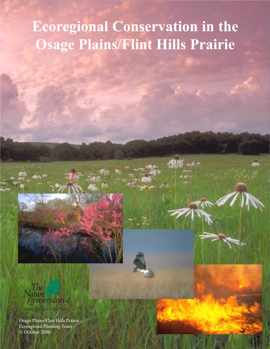 Ecoregional Conservation in the Osage Plains/Flint Hills Prairie