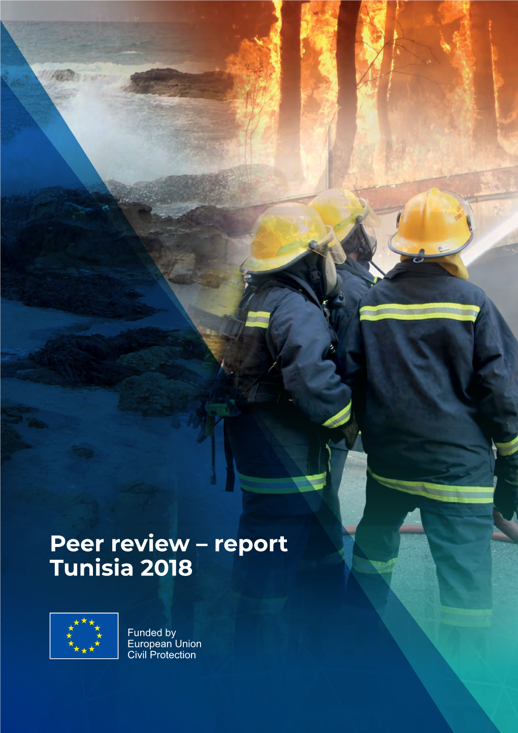 Peer Review – Report Tunisia 2018