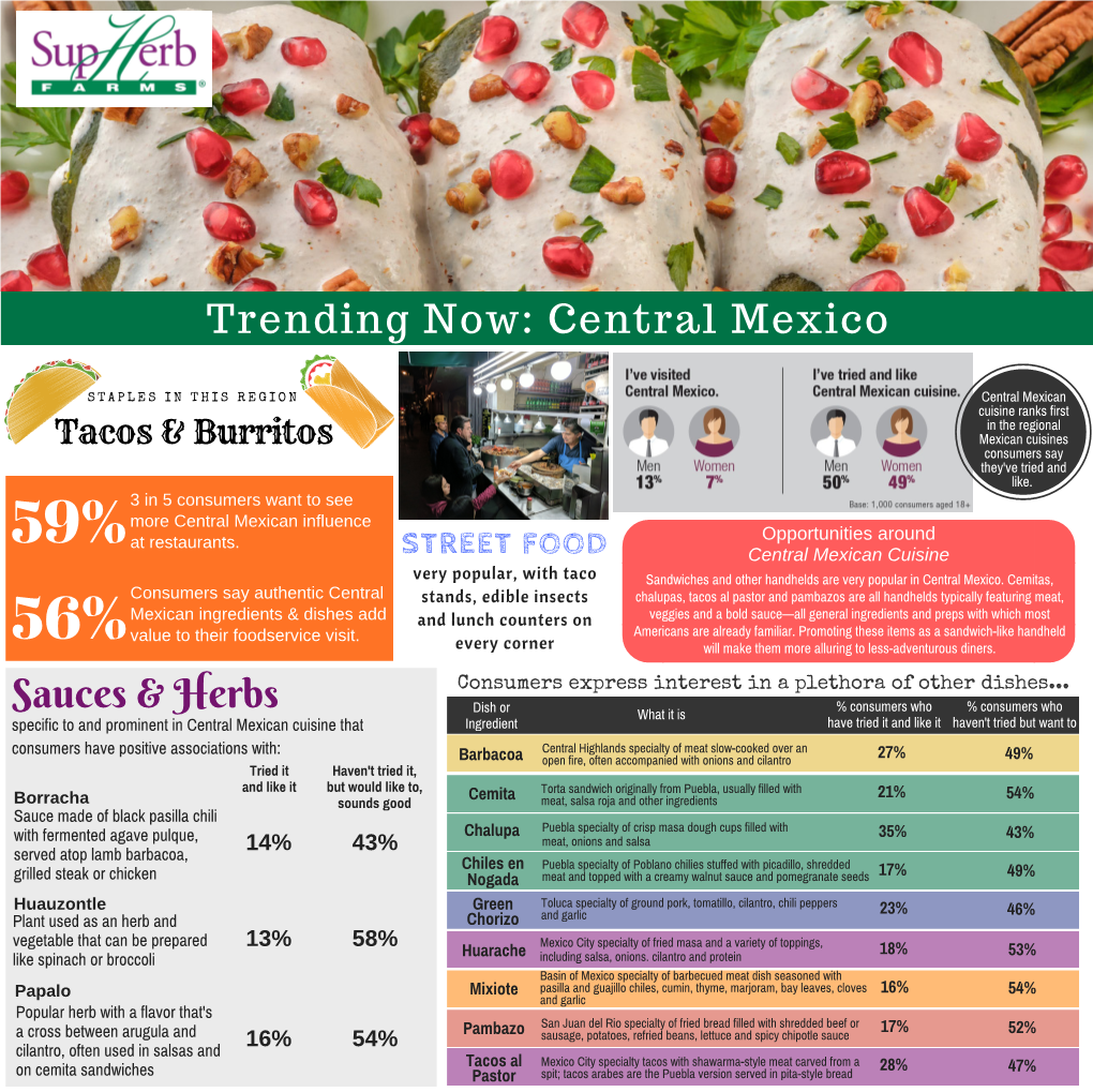 Central-Mexico-Infographic