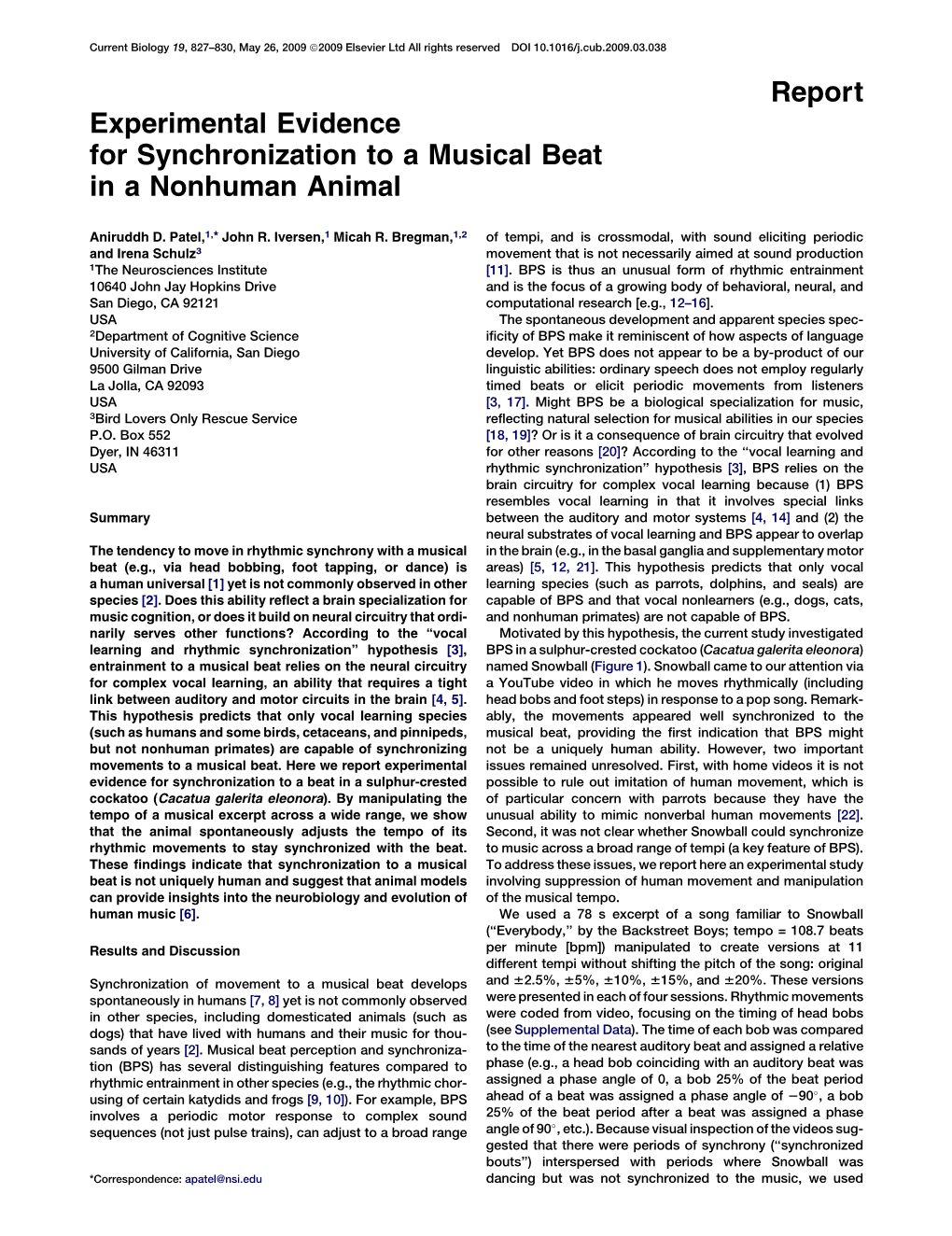 Experimental Evidence for Synchronization to a Musical Beat in a Nonhuman Animal