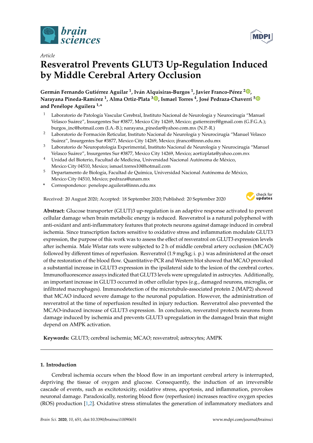 Resveratrol Prevents GLUT3 Up-Regulation Induced by Middle Cerebral Artery Occlusion