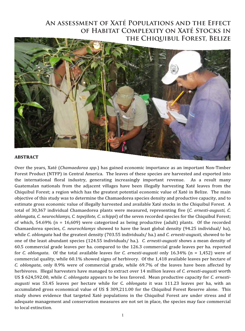 An Assessment of Xaté Populations and the Effect of Habitat Complexity on Xaté Stocks in the Chiquibul Forest, Belize