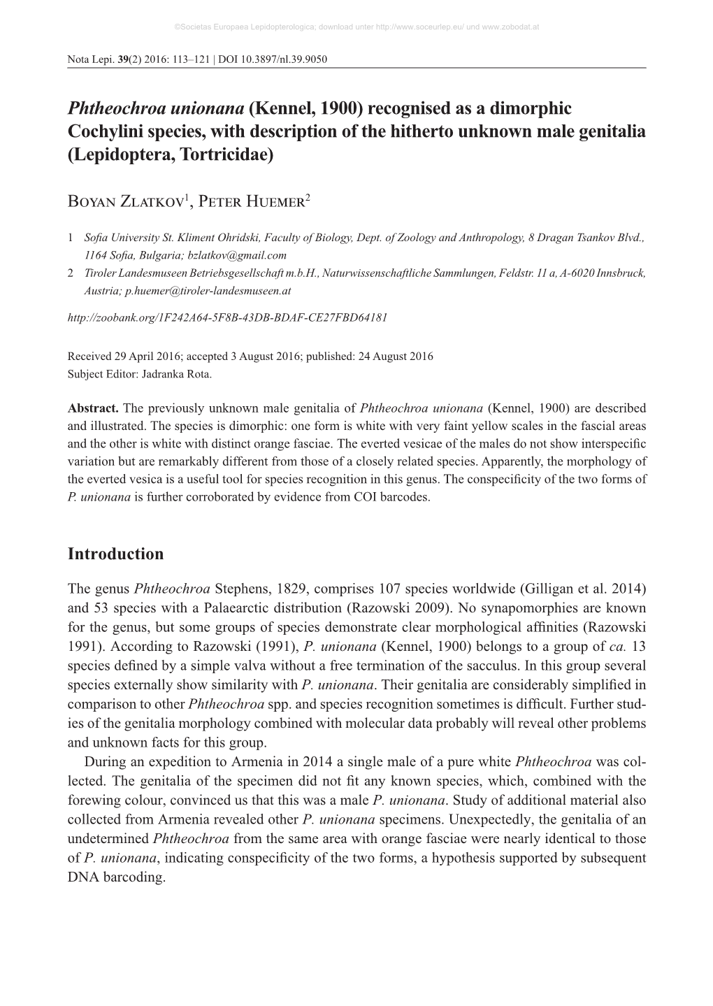 Phtheochroa Unionana (Kennel, 1900) Recognised As a Dimorphic Cochylini Species, with Description of the Hitherto Unknown Male Genitalia (Lepidoptera, Tortricidae)