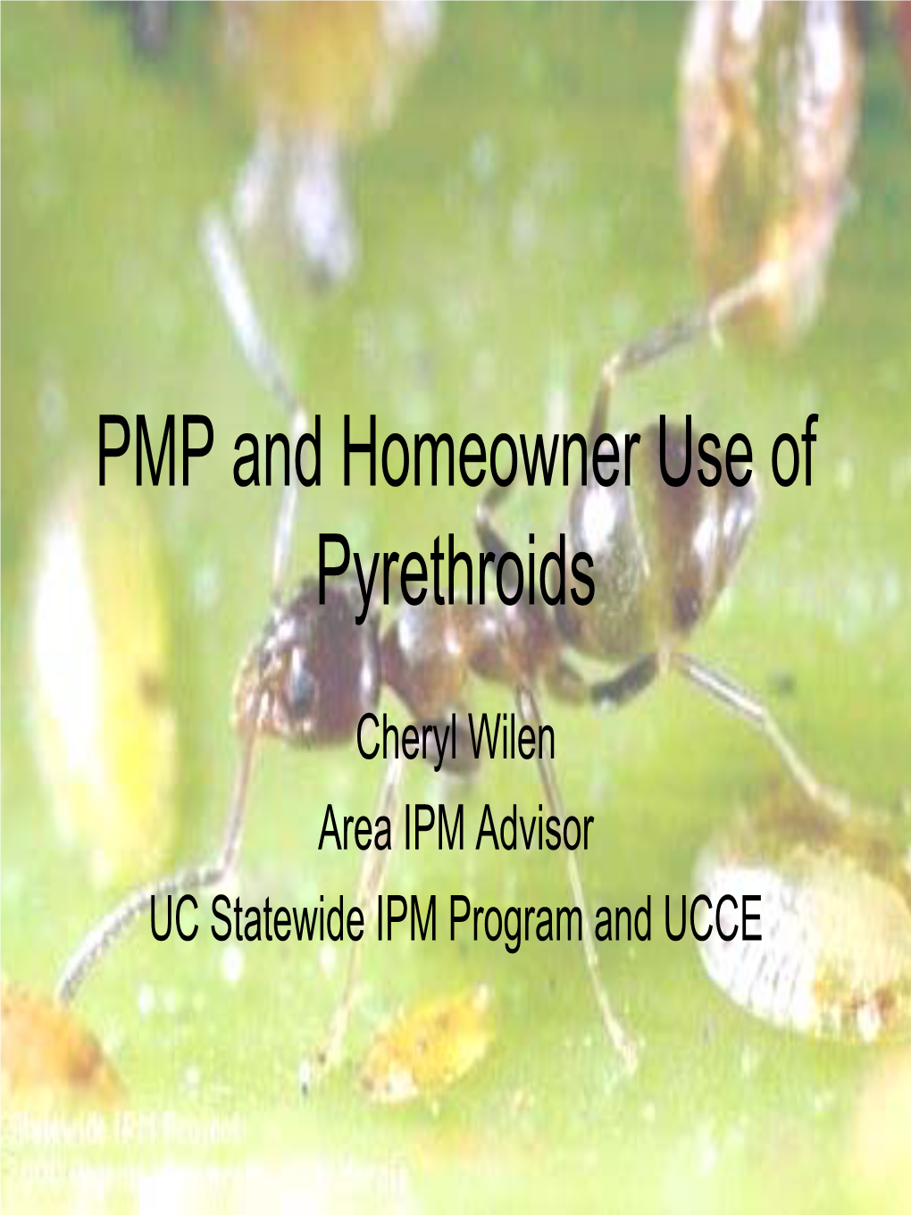 PMP and Homeowner Use of Pyrethroids