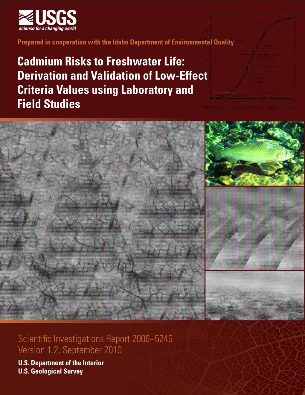 Cadmium Risks to Freshwater Life: Derivation and Validation of Low-Effect Criteria Values Using Laboratory and Field Studies