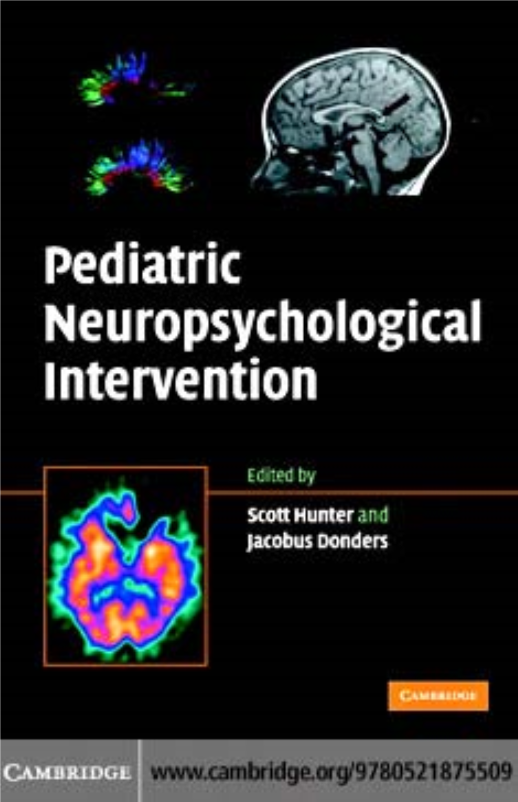 Pediatric Neuropsychological Intervention: a Critical Review Of