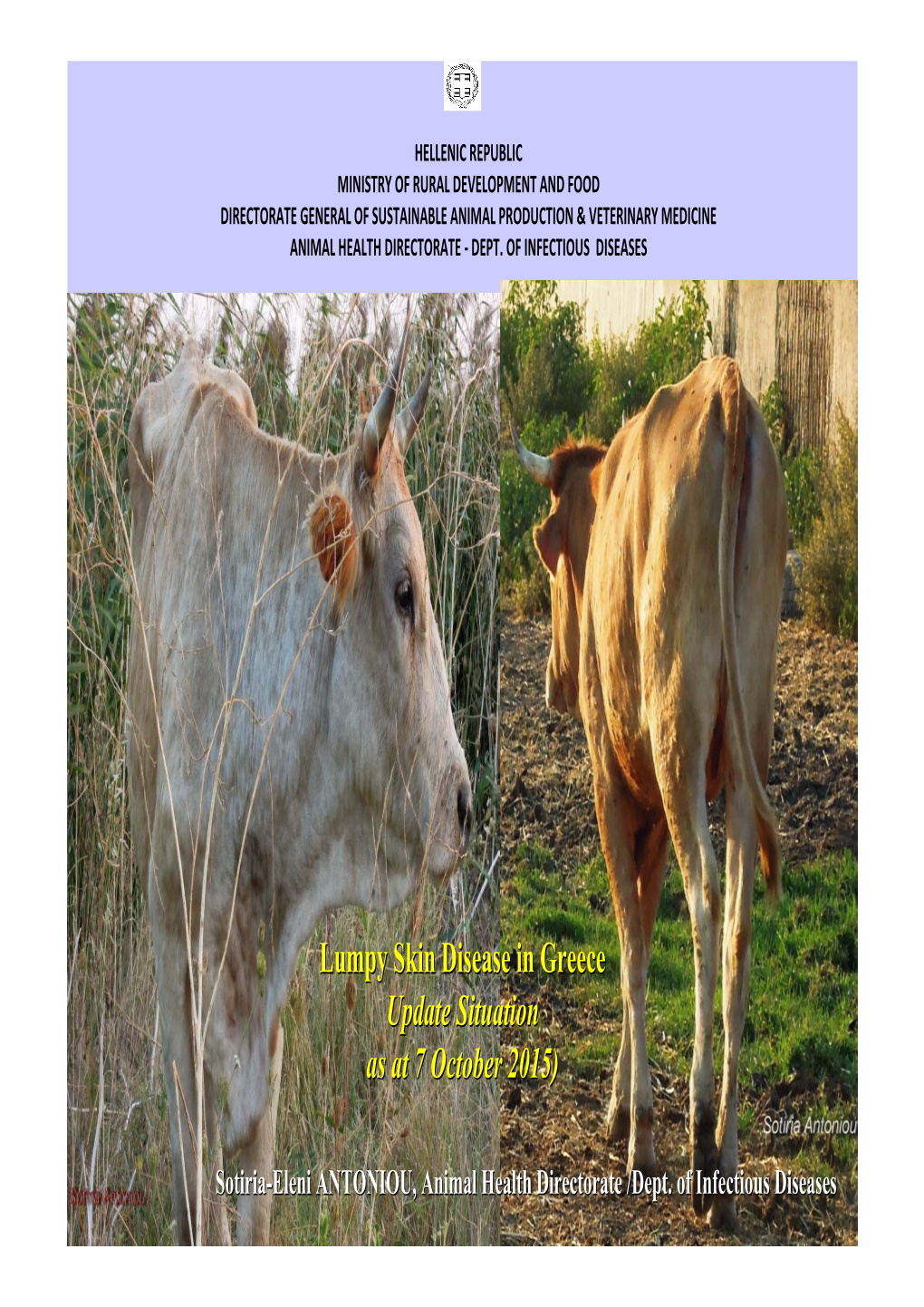 Lumpy Skin Disease Vaccine for Cattle