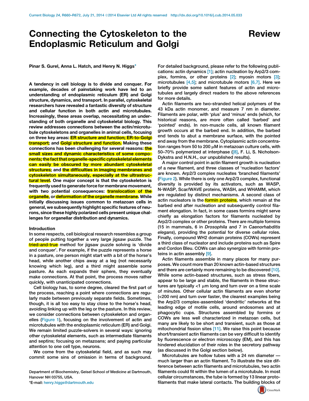 Connecting the Cytoskeleton to the Endoplasmic Reticulum and Golgi