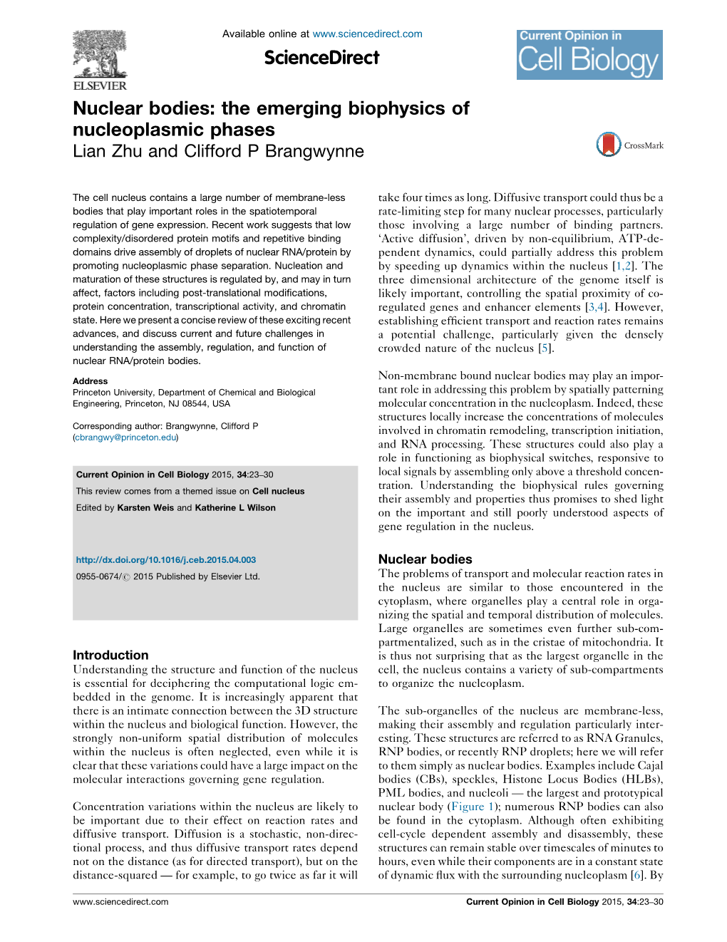 Nuclear Bodies: the Emerging Biophysics Of