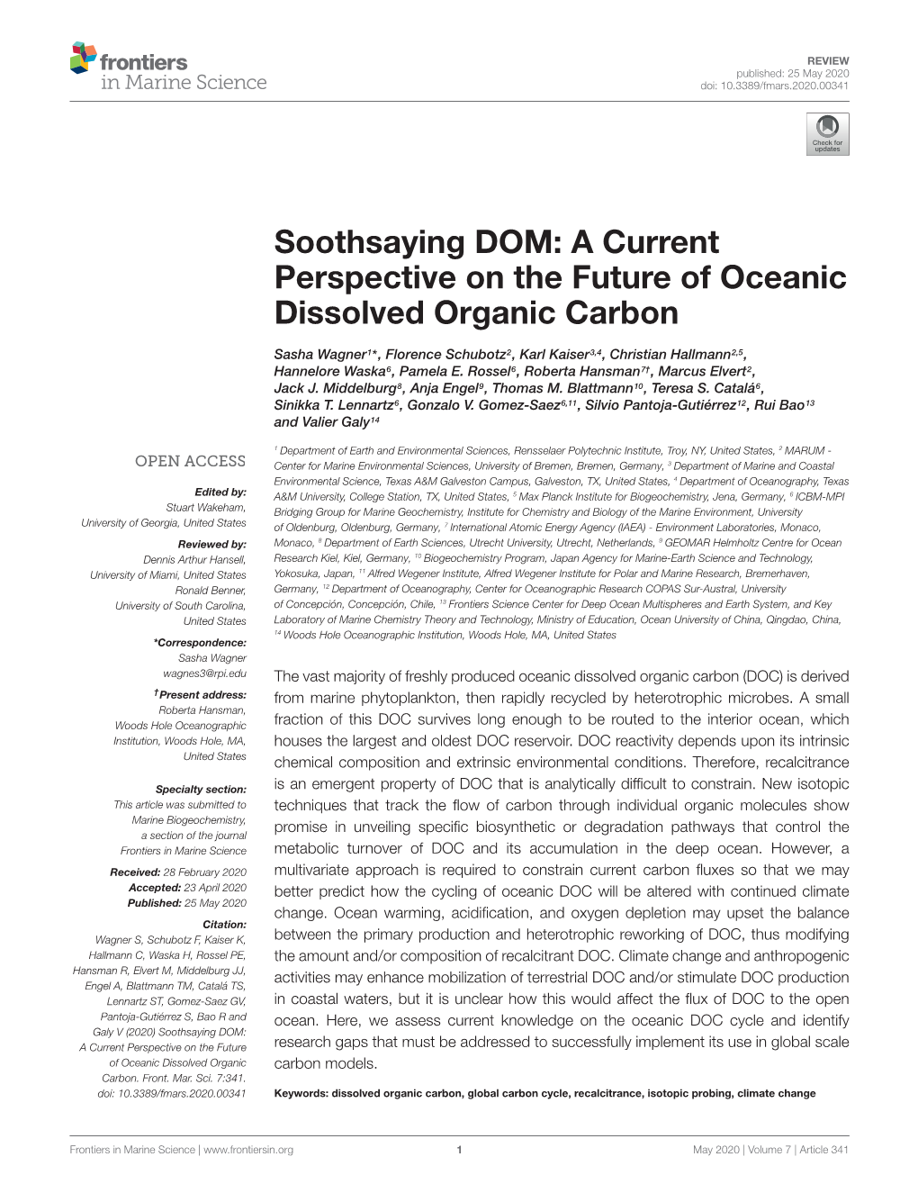 A Current Perspective on the Future of Oceanic Dissolved Organic Carbon