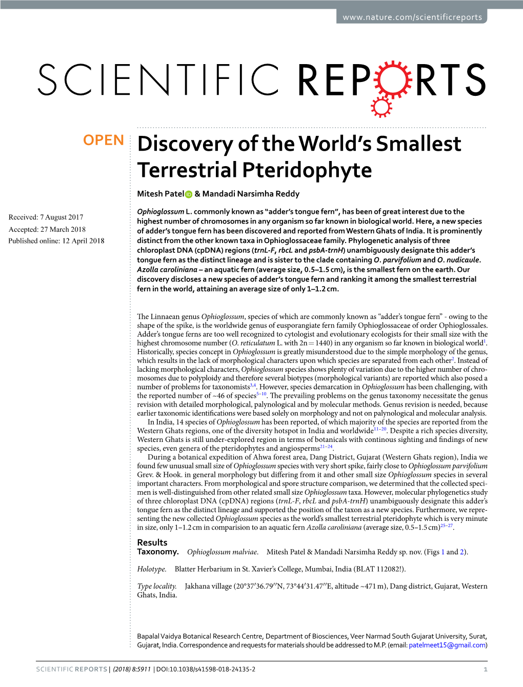 Discovery of the World's Smallest Terrestrial Pteridophyte