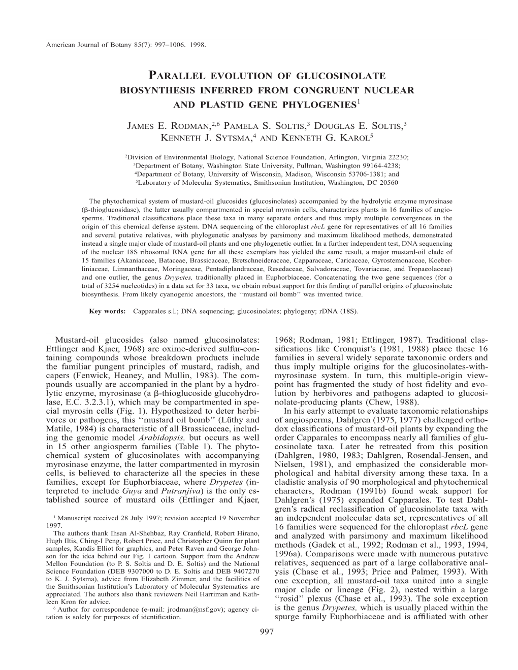 Rodman Et Al., 1993, 1994, Son for the Idea Behind Our Fig