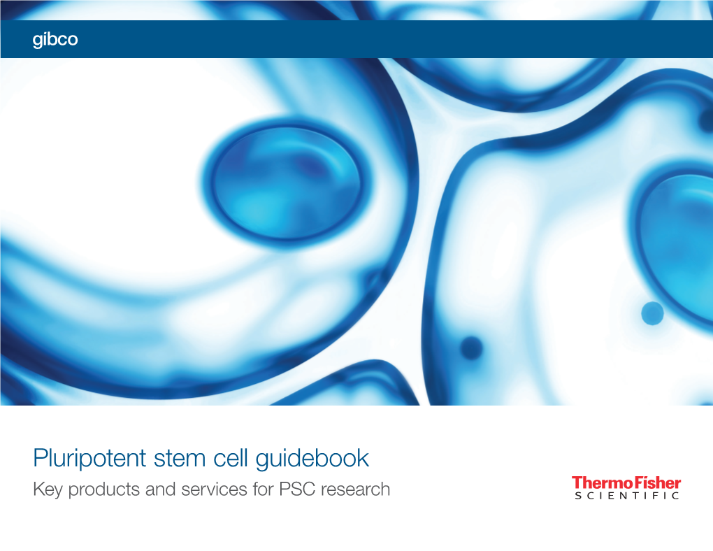 Pluripotent Stem Cell Guidebook Key Products and Services for PSC Research the Pluripotent Stem Cell Workflow