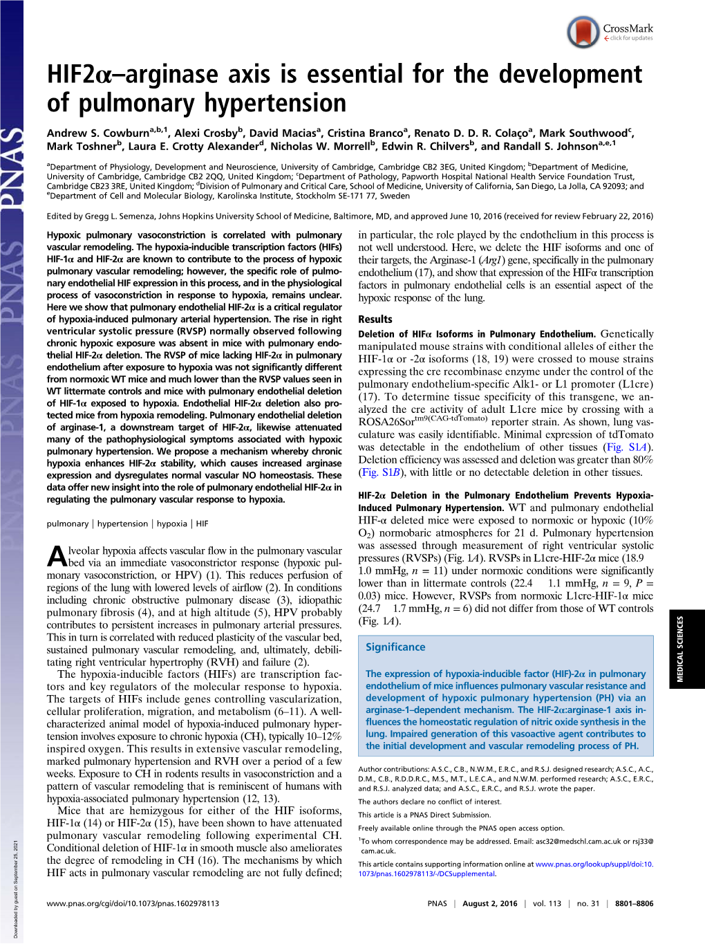 Hif2α–Arginase Axis Is Essential for the Development of Pulmonary Hypertension