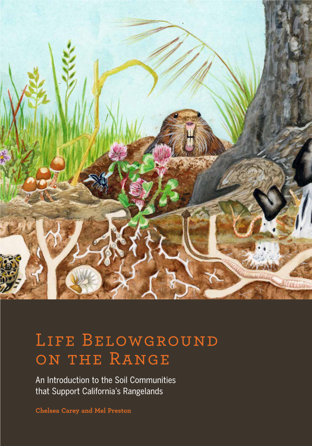 Life Belowground on the Range an Introduction to the Soil Communities That Support California’S Rangelands