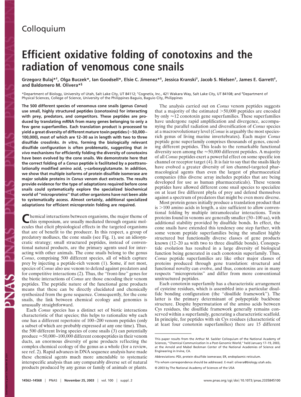 Efficient Oxidative Folding of Conotoxins and the Radiation of Venomous Cone Snails