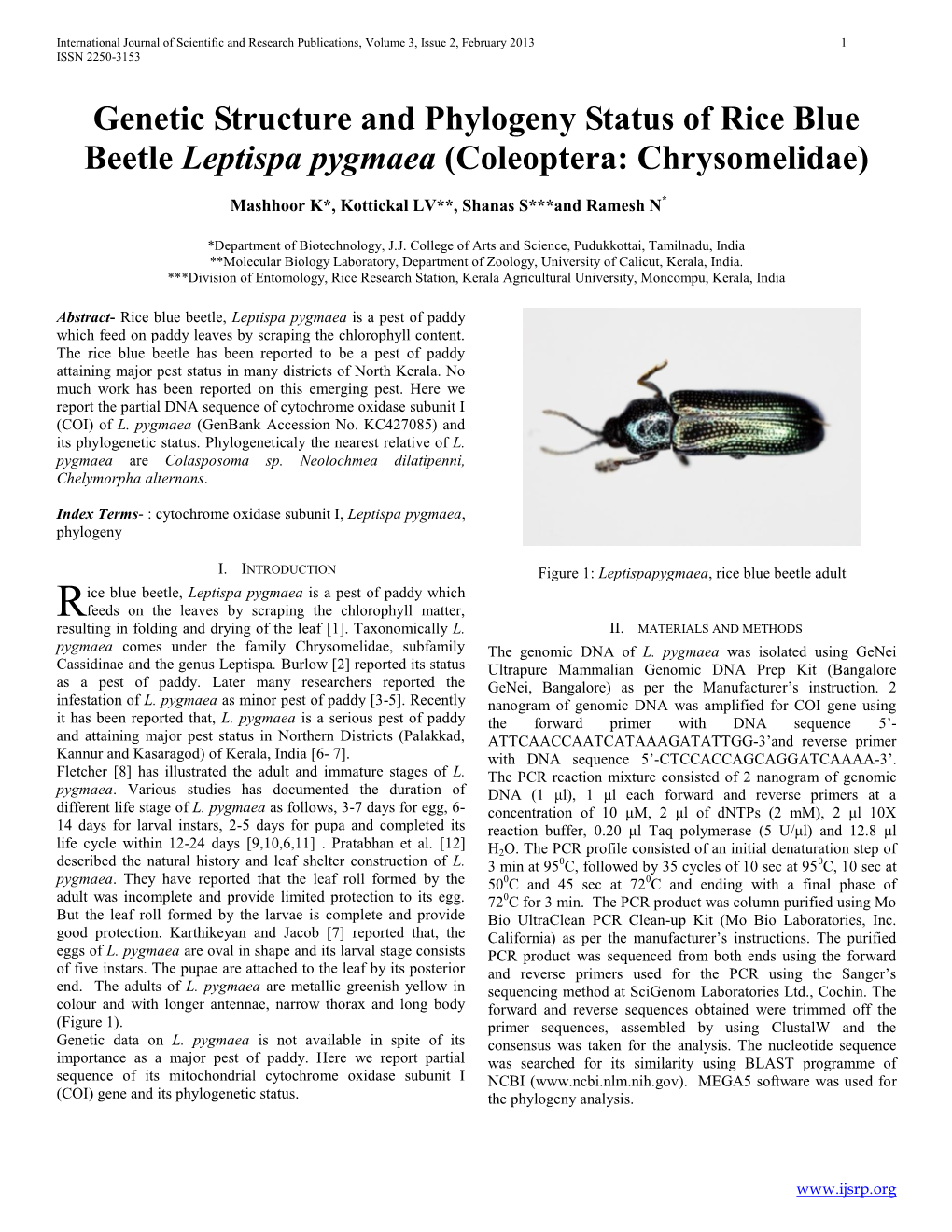 Genetic Structure and Phylogeny Status of Rice Blue Beetle Leptispa Pygmaea (Coleoptera: Chrysomelidae)