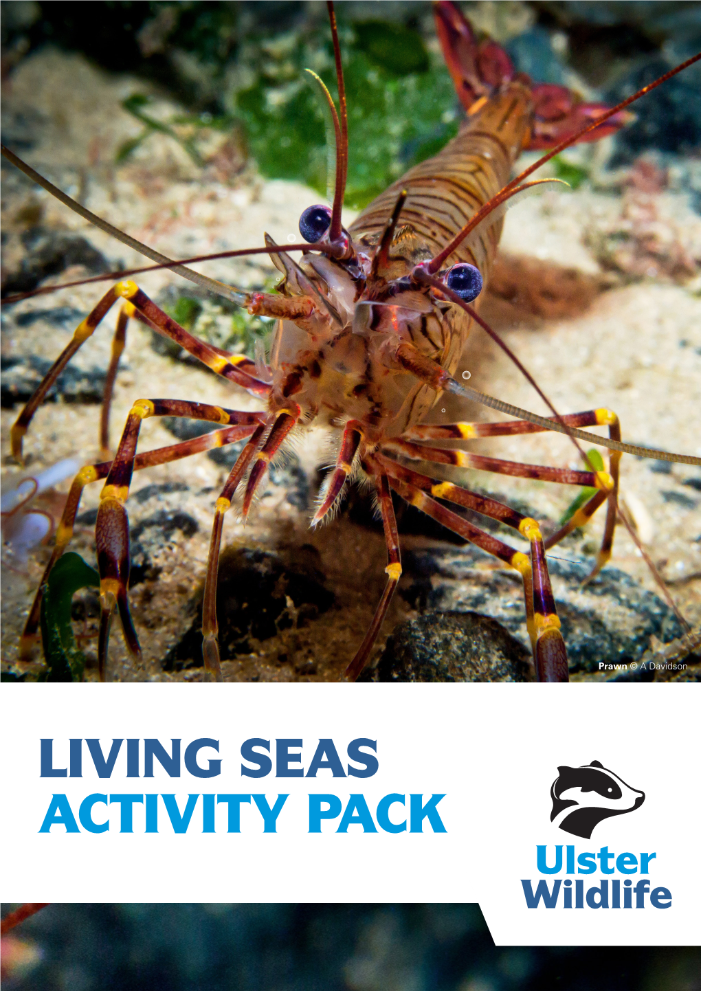 Living Seas Activity Pack