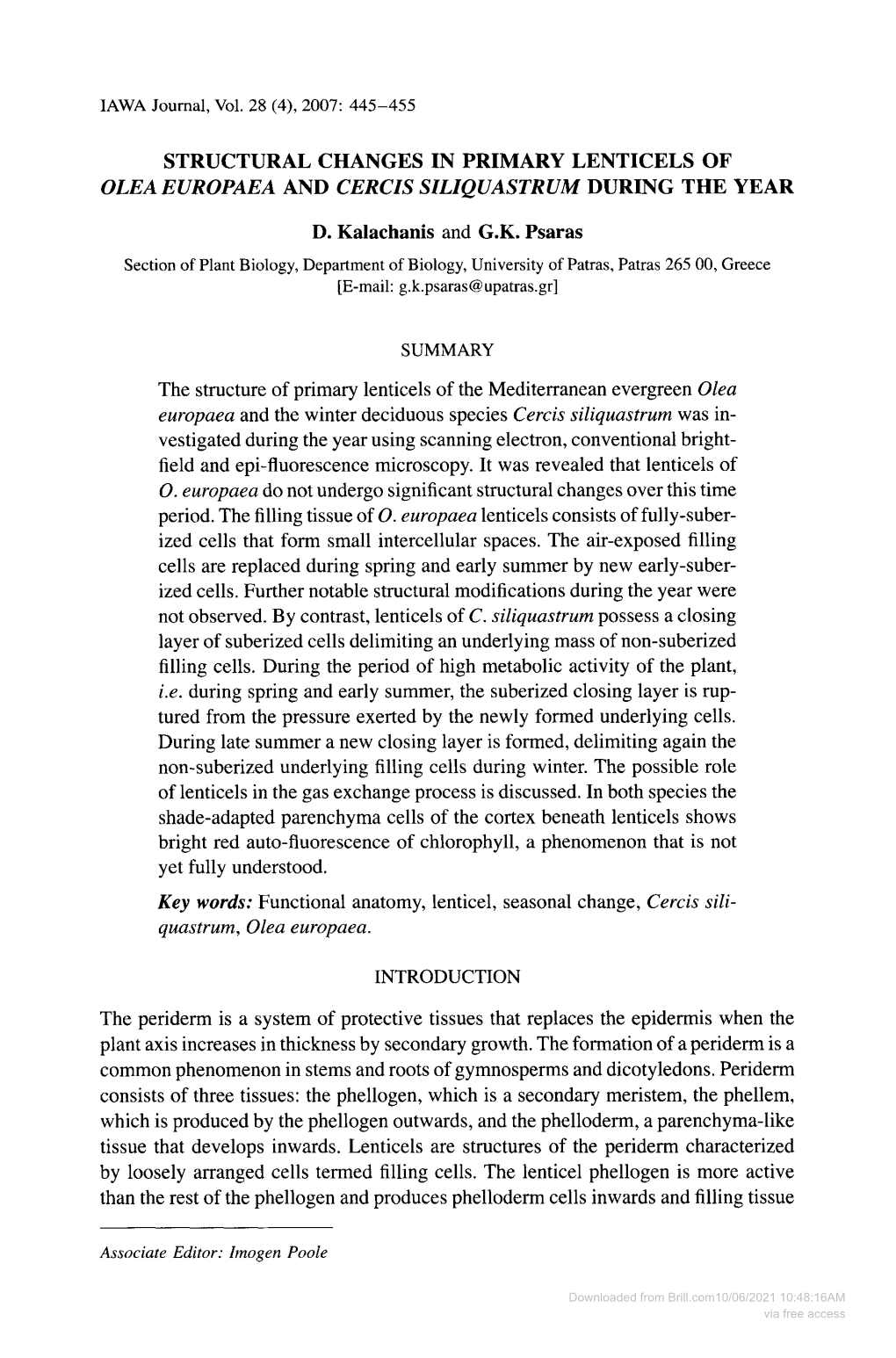 Structural Changes in Primary Lenticels of Olea Europaea and Cercis Siliquastrum During the Year