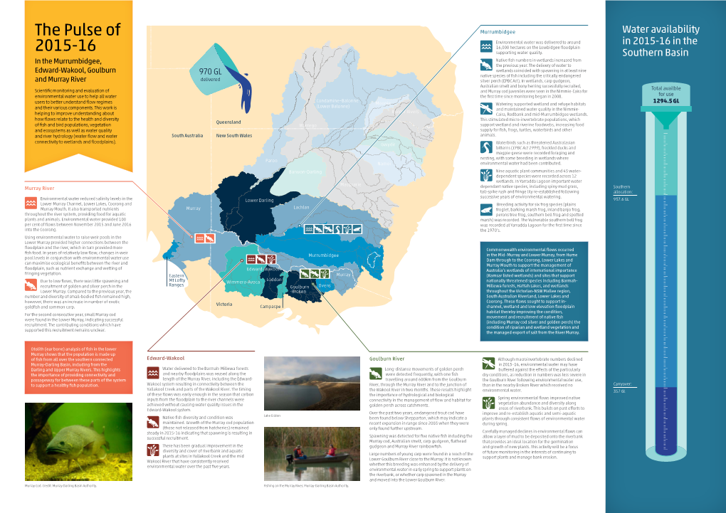 The Pulse 2015-16 Southern Basin