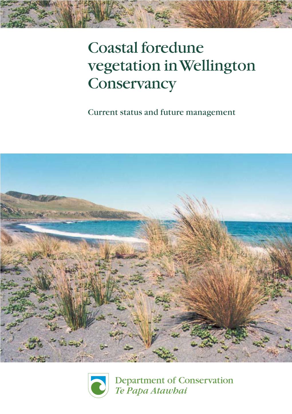 Coastal Foredune Vegetation in Wellington Conservancy