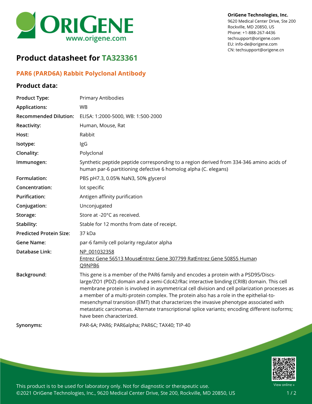 PAR6 (PARD6A) Rabbit Polyclonal Antibody – TA323361 | Origene