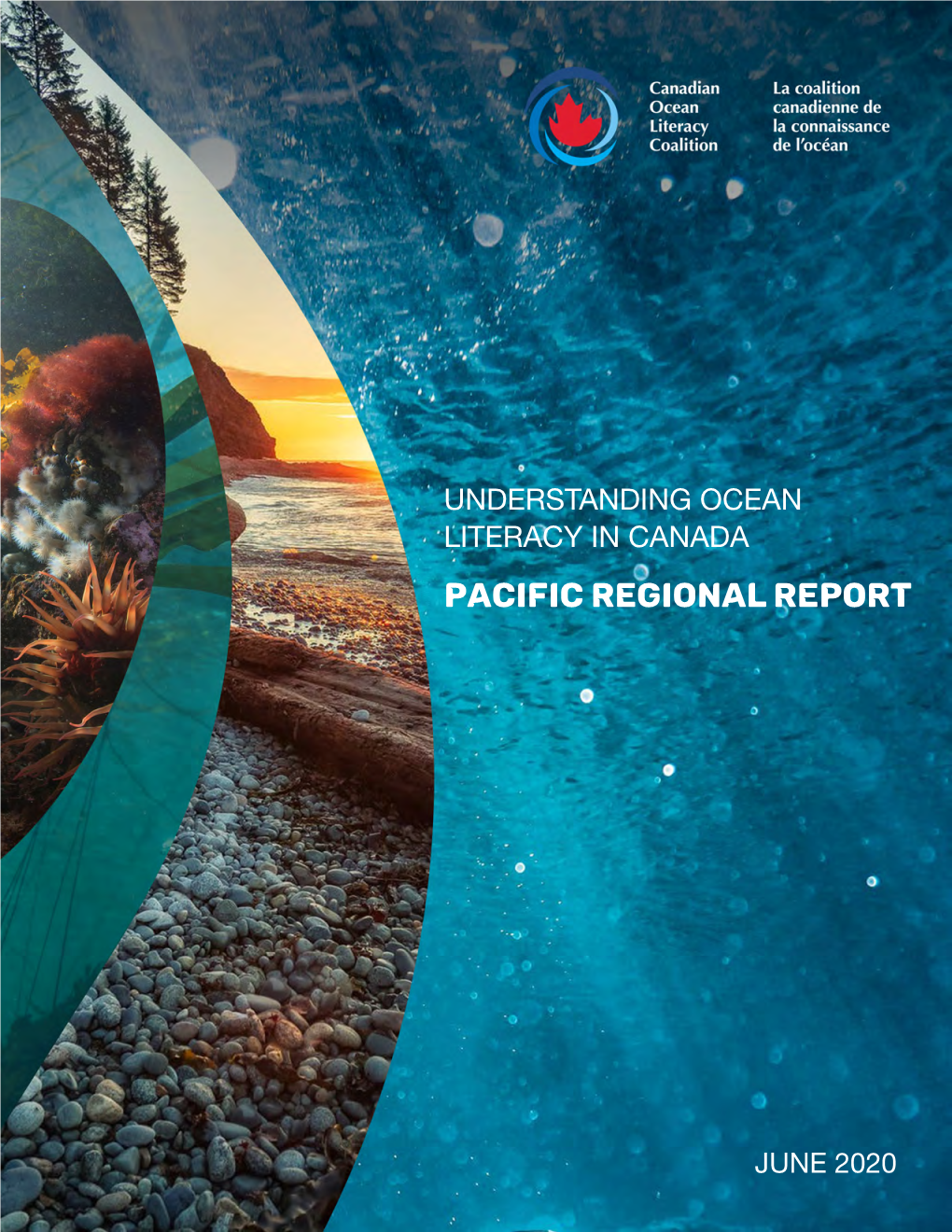 Pacific Regional Report