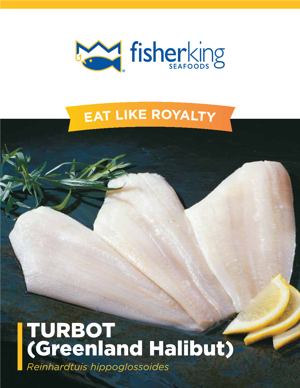 TURBOT (Greenland Halibut) Reinhardtuis Hippoglossoides TURBOT Reinhardtuis Hippoglossoides