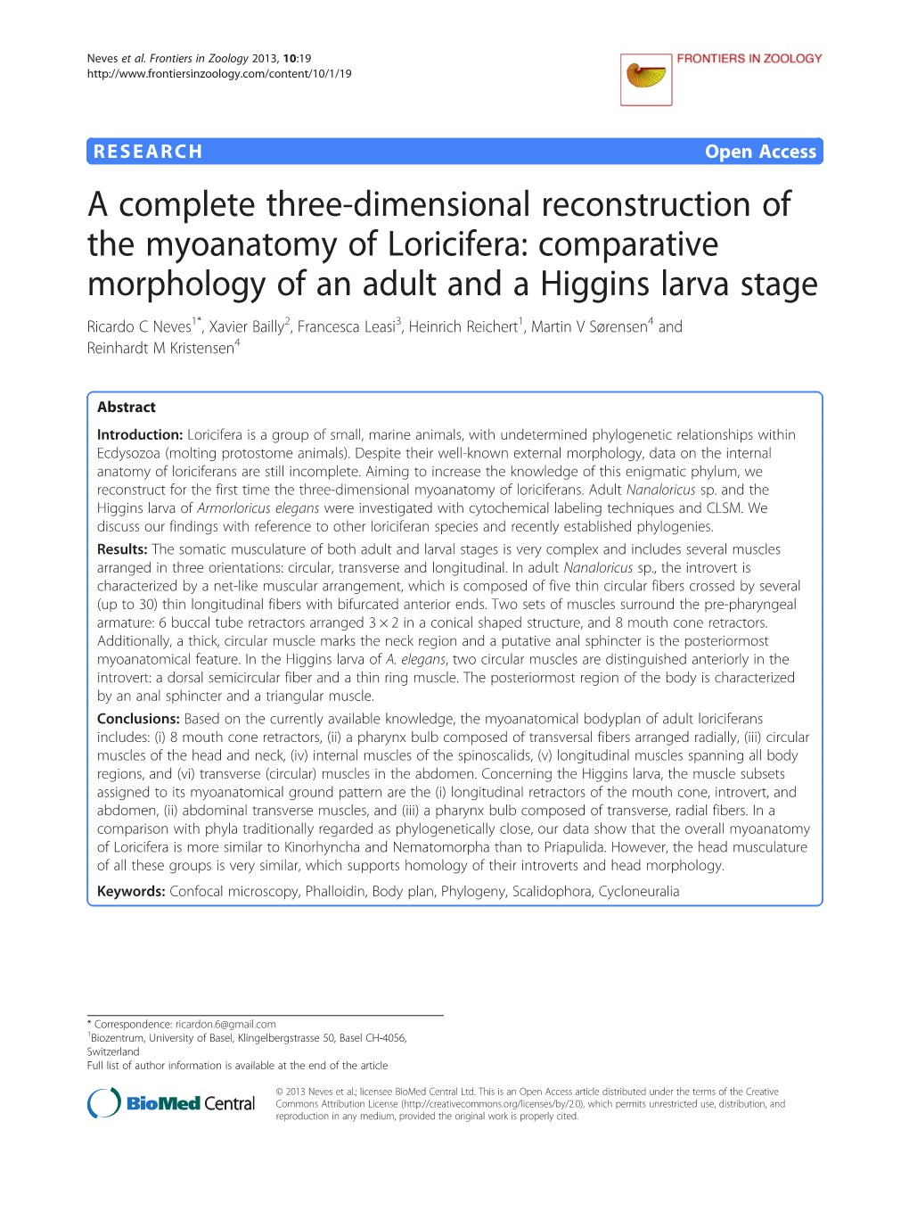 Comparative Morphology of an Adult and a Higgins La